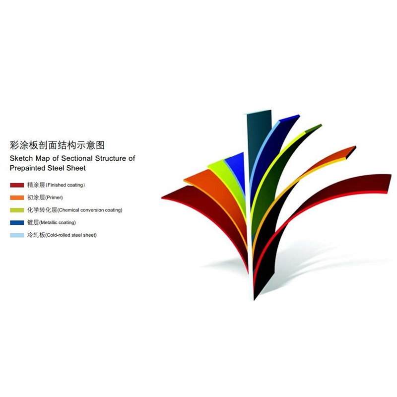 圖片展示